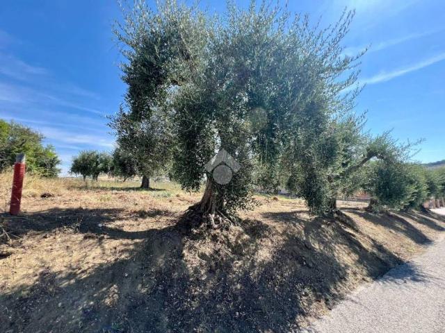 Terreno in vendita a Campli, Abruzzo