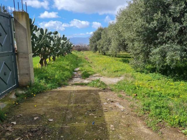Terreno in vendita a Calabria, Reggio Calabria