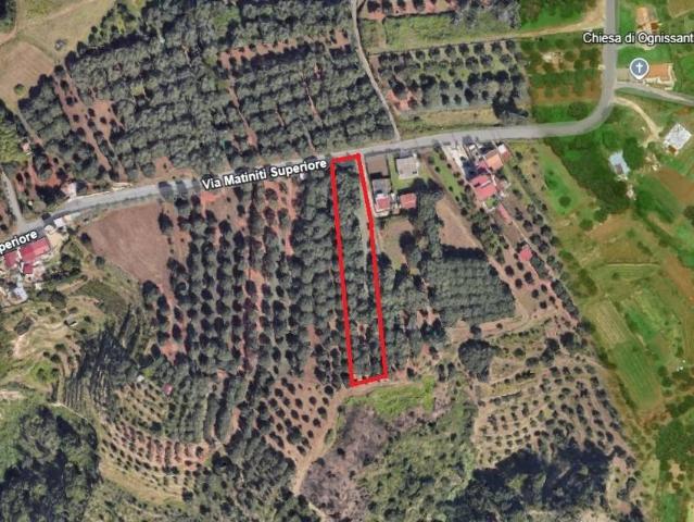 Terreno in vendita a Calabria, Reggio Calabria