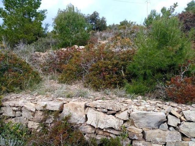 Terreno in vendita a Campo nell'Elba, Marina Di Campo