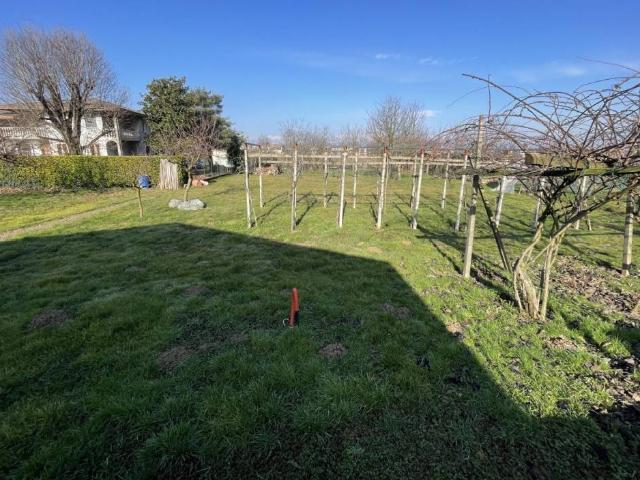 Terreno in vendita a Campo San Martino, Veneto