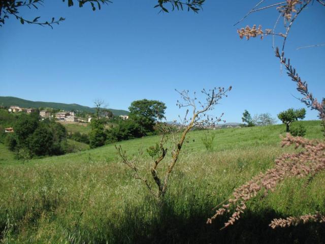Terreno in vendita a Colle delle Api, Campobasso