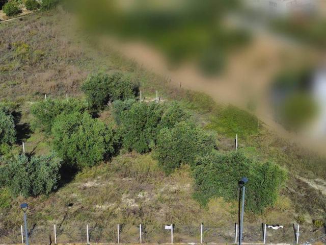 Terreno in vendita a Campobello Di Licata, Sicilia
