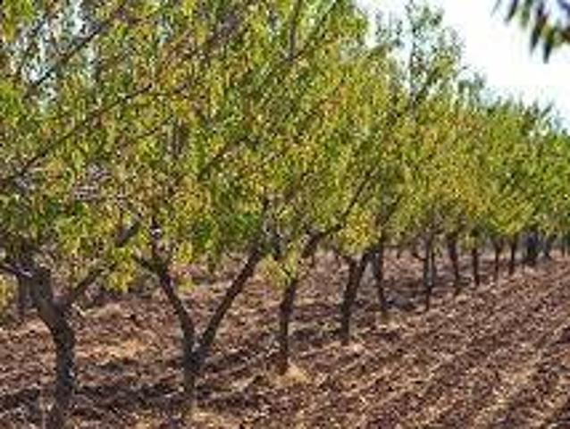 Terreno in vendita a Campobello Di Licata, Sicilia