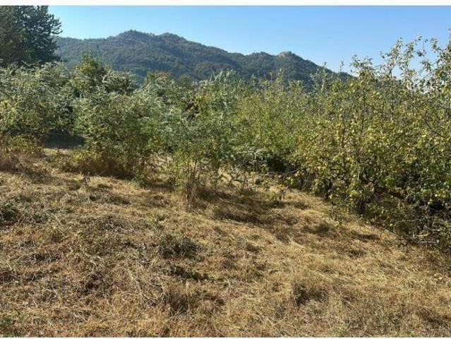 Terreno in vendita a Ravanusa, Sicilia