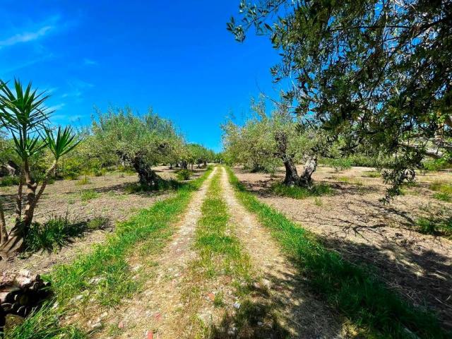 Terreno in vendita a Campobello Di Licata, Sicilia