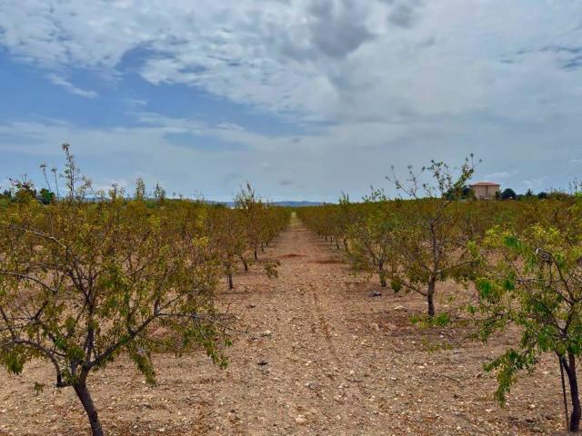 Terreno in vendita a Campobello Di Licata, Sicilia