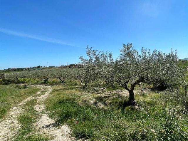 Terreno in vendita a Campobello Di Licata, Sicilia