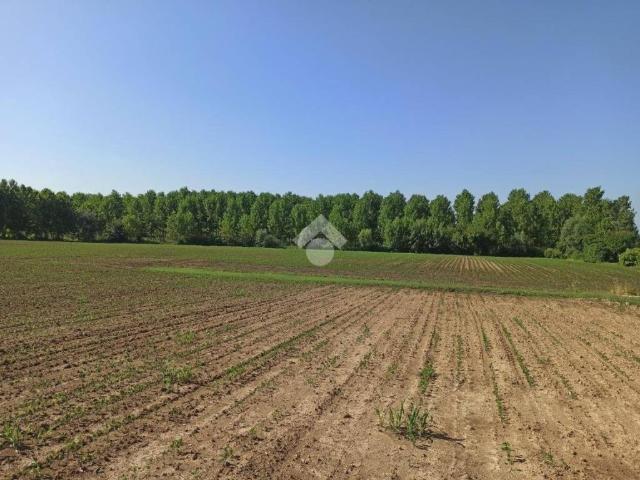 Terreno in vendita a Bronzola, Campodarsego