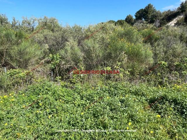 Terreno in vendita a Campofelice Di Roccella, Sicilia