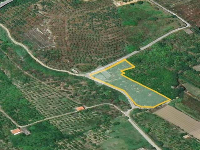 Terreno in vendita a Campofelice Di Roccella, Sicilia
