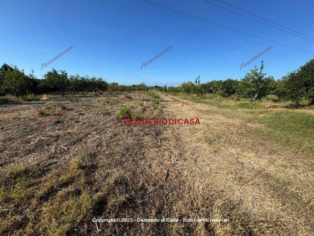 Terreno in vendita a Campofelice Di Roccella, Sicilia
