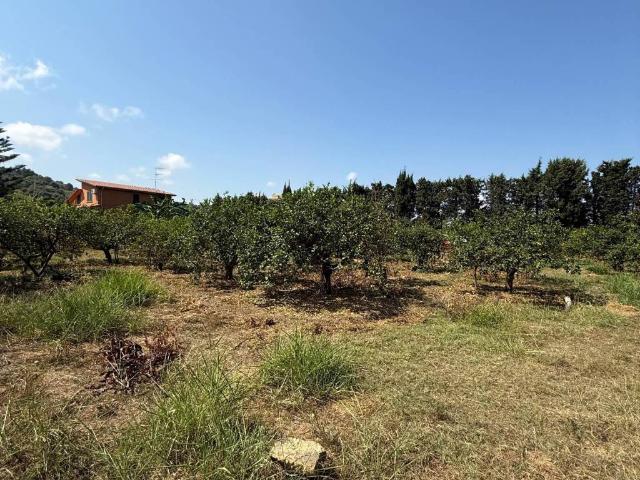Terreno in vendita a Campofelice Di Roccella, Sicilia