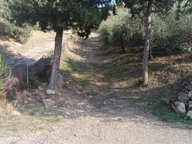 Terreno in vendita a Campofelice di Roccella, Palermo