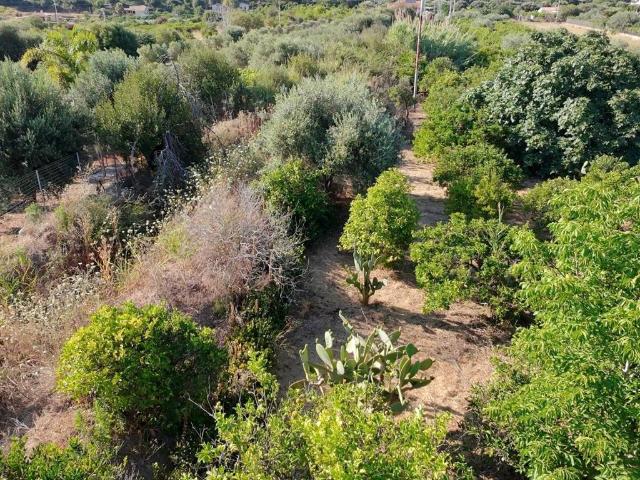 Terreno in vendita a Campofelice Di Roccella, Sicilia