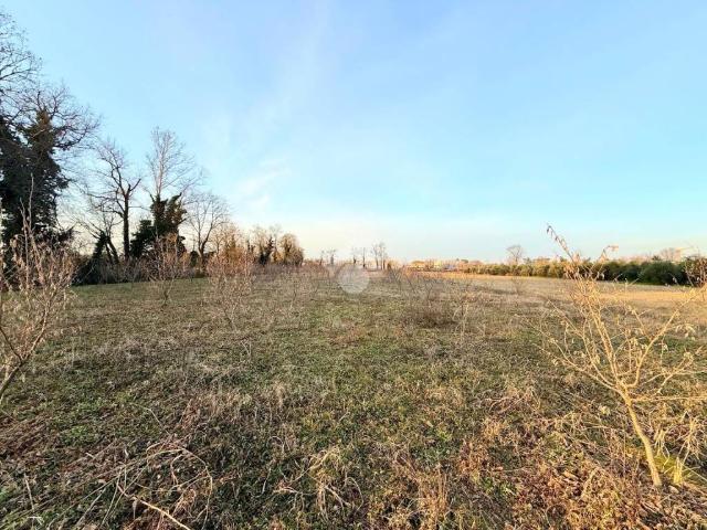 Terreno in vendita a Campoformido, Friuli-Venezia Giulia