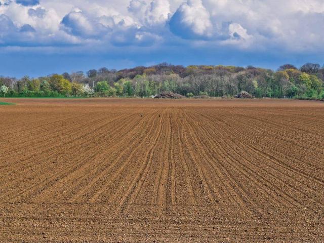 Terreno in vendita a Tapogliano, Friuli-Venezia Giulia