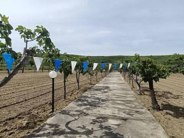 Terreno in vendita a Case FIAT, Campomarino