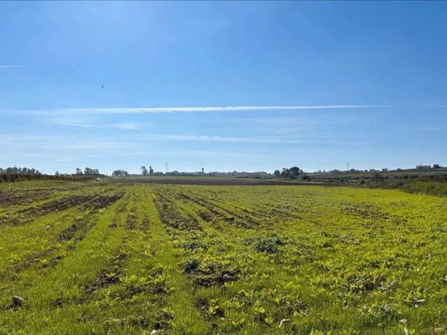 Terreno in vendita a Campomarino, Molise