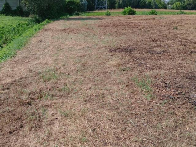 Terreno in vendita a Prozzolo, Camponogara