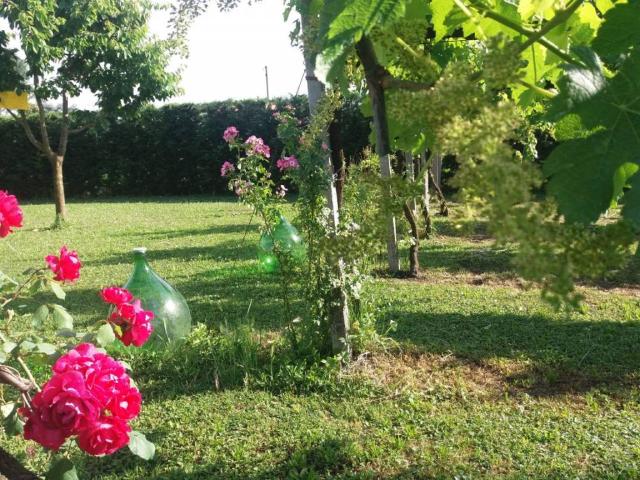 Terreno in vendita a Campagna Lupia, Veneto