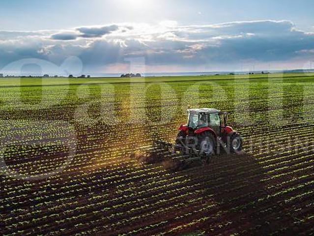 Terreno in vendita a Campoverardo, Camponogara