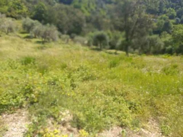 Terreno in vendita a Camporosso, Liguria