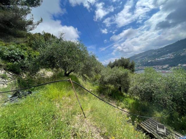 Terreno in vendita a Camporosso, Liguria