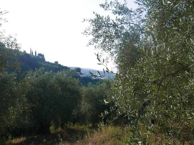 Terreno in vendita a Camporosso, Liguria