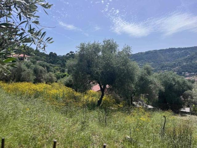 Terreno in vendita a Camporosso, Liguria