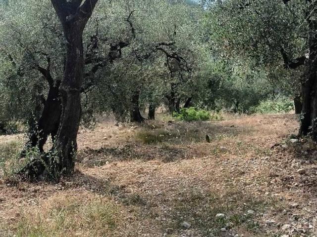 Terreno in vendita a San Giacomo, Camporosso