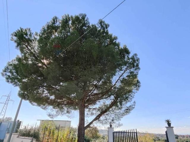 Terreno in vendita a Piano Tavola, Camporotondo Etneo