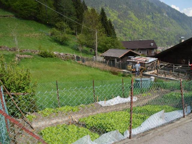 Terreno in vendita a Comunità di Primiero, Canal San Bovo