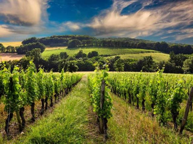 Terreno in vendita a Piemonte, Cuneo