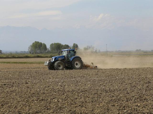 Terreno in vendita a Canaro, Veneto