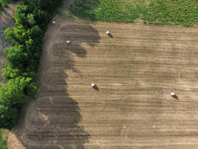 Terreno in vendita a Canaro, Veneto