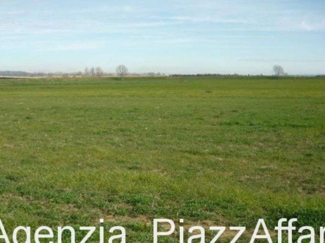 Terreno in vendita a Candiana, Veneto