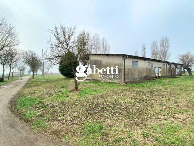 Terreno in vendita a Candiana, Veneto