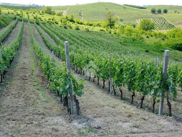 Terreno in vendita a Piemonte, Asti