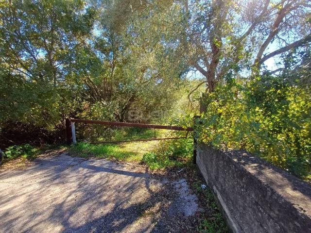 Terreno in vendita a Canicattini Bagni, Sicilia