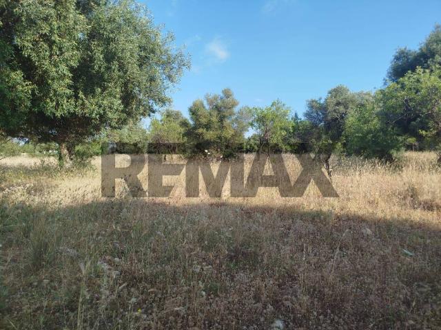 Terreno in vendita a Canicattini Bagni, Sicilia