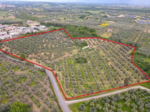 Terreno in vendita a Canino, Lazio