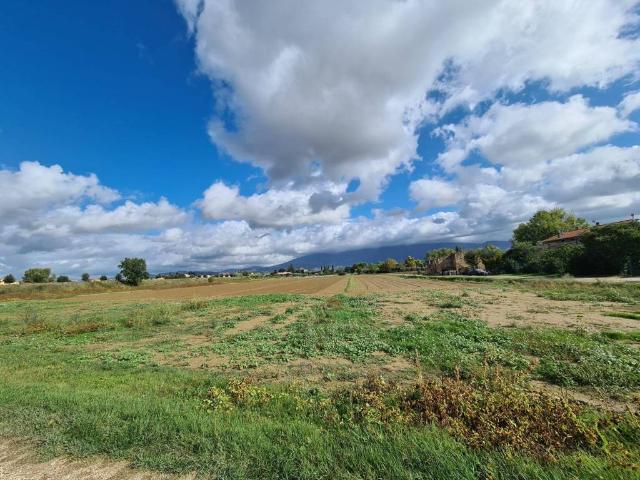 Terreno in vendita a Cannara, Umbria