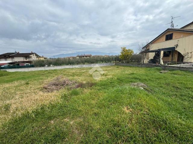 Terreno in vendita a Cannara, Umbria