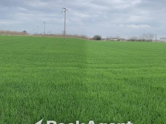 Terreno in vendita a Canneto Sull'oglio, Lombardia