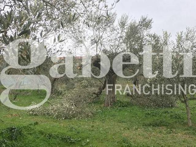 Terreno in vendita a Puglia, Barletta-andria-trani