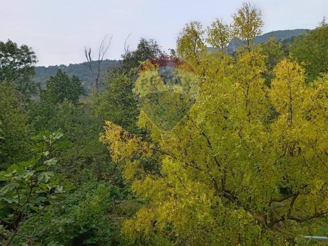 Terreno in vendita a Piemonte, Torino