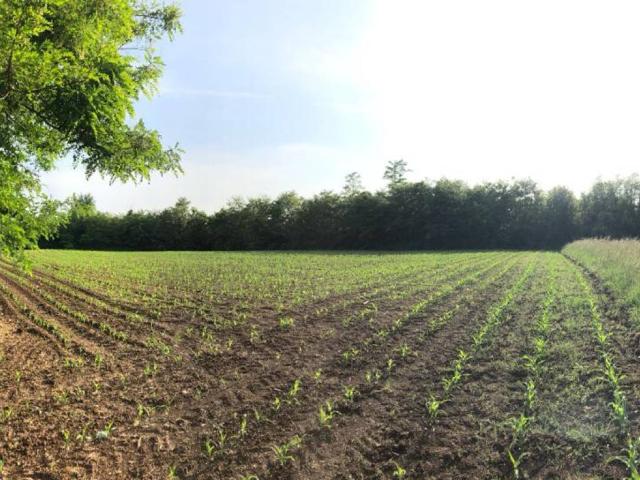 Terreno in vendita a Cantù, Lombardia