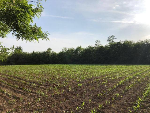 Terreno in vendita a Vighizzolo, Cantù