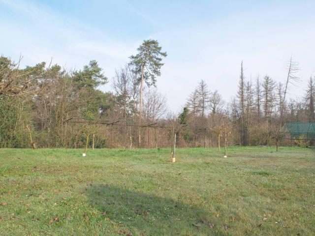Terreno in vendita a Cantù, Lombardia